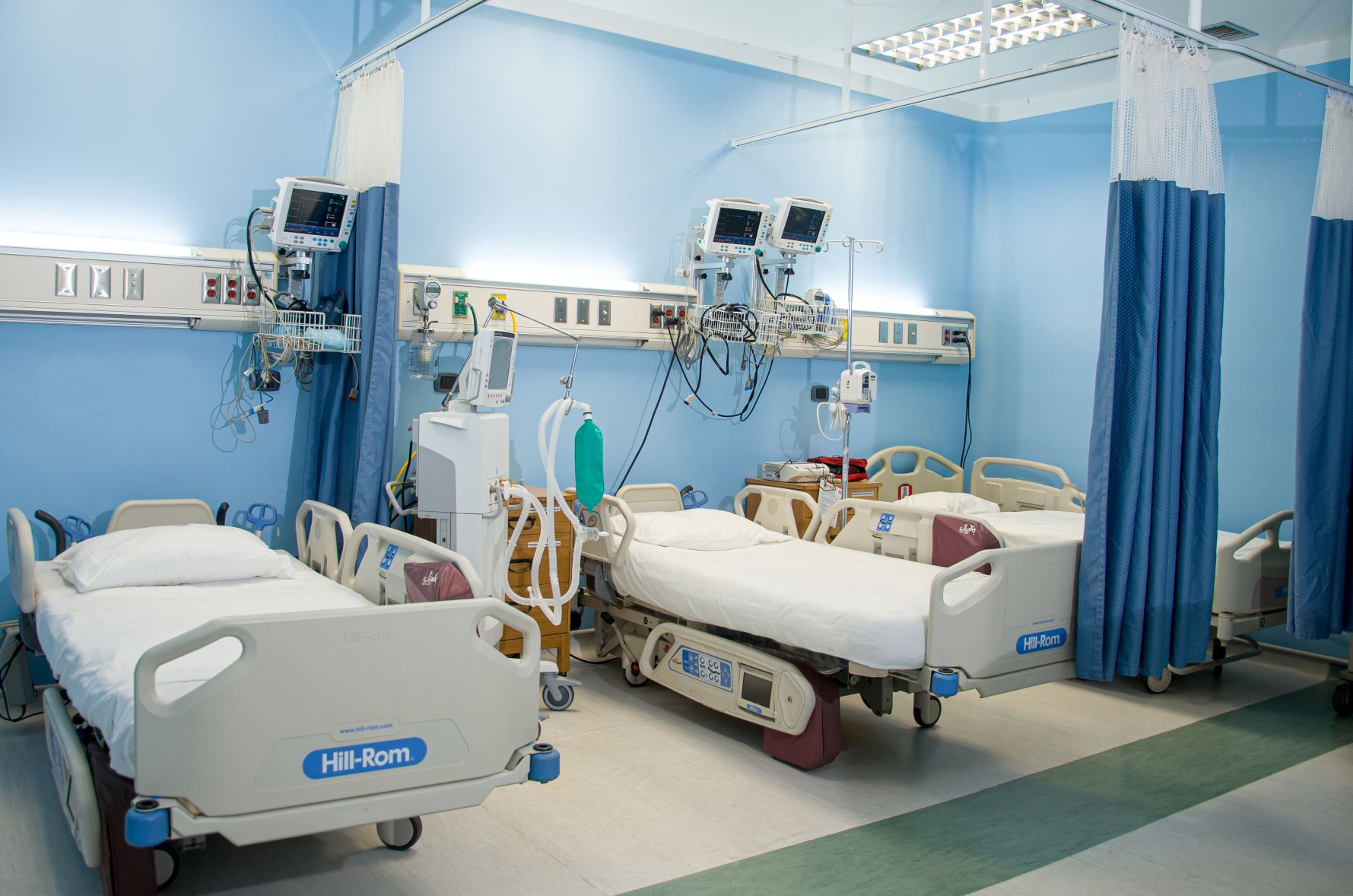 Hospitalización (Endovascular)